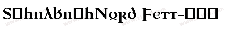 SchulbuchNord Fett字体转换